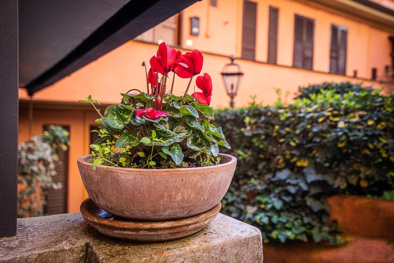 Lejlighed Cosy In The Greenest Corner Of Trastevere